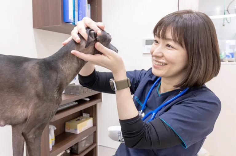 当院の歯科治療