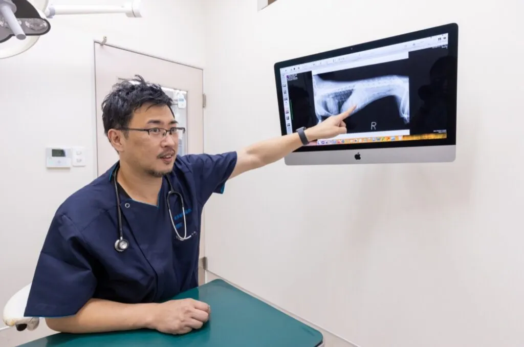 3人の獣医師が多角的にアプローチ