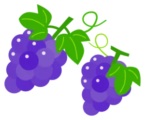 ブドウ