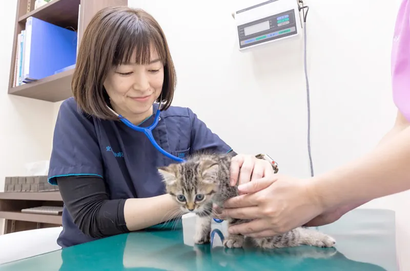 来院時に必要なもの