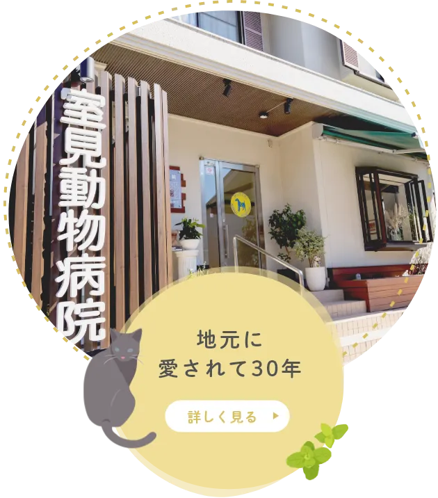 地元に愛されて30年