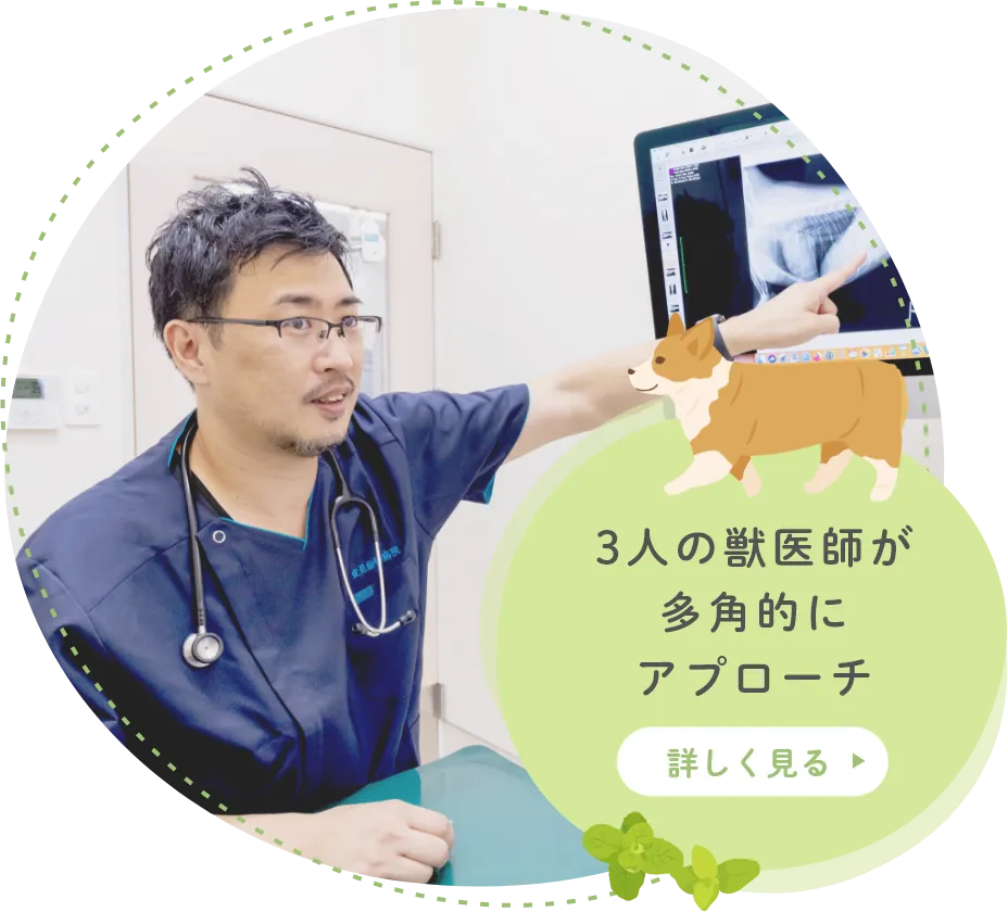 3人の獣医師が多角的にアプローチ