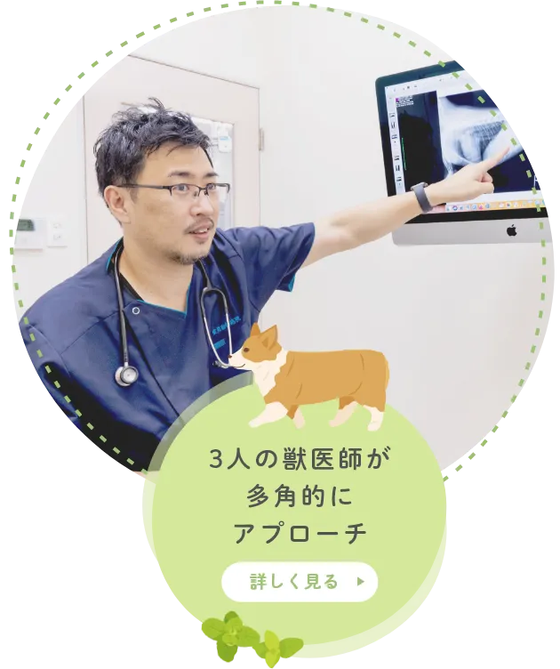 3人の獣医師が多角的にアプローチ