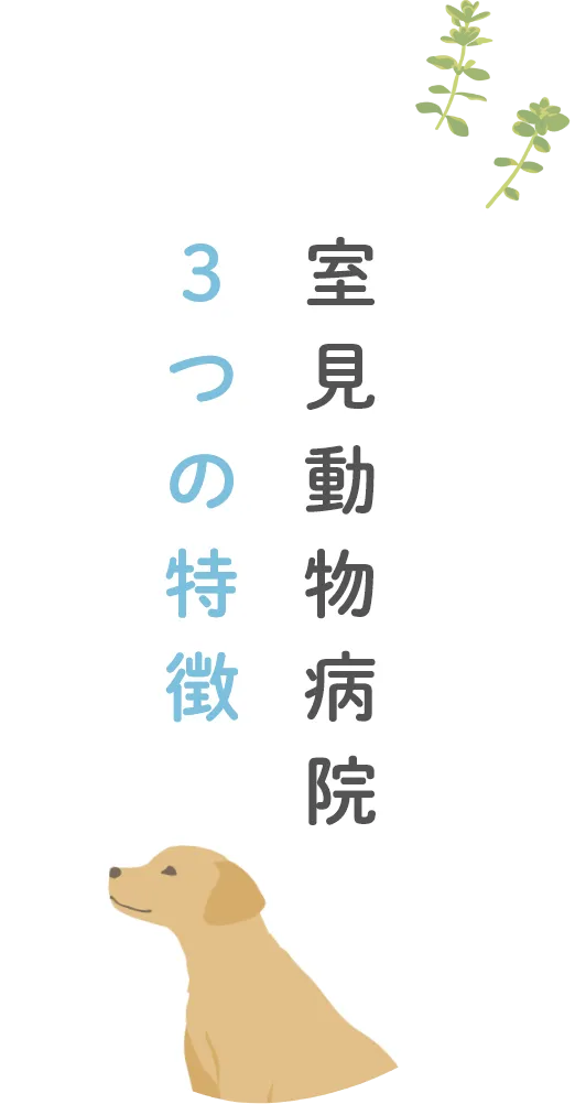 室見動物病院3つの特徴