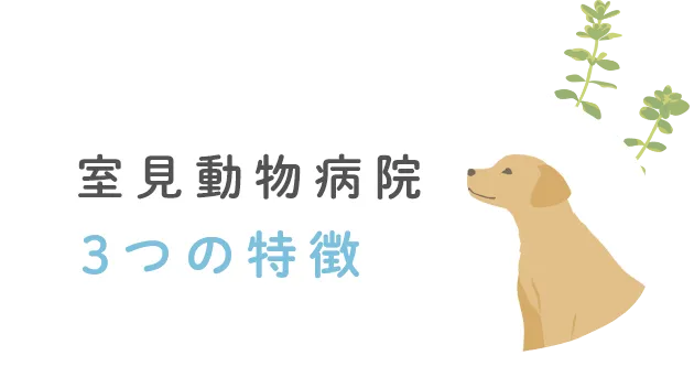 室見動物病院3つの特徴