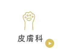 皮膚科